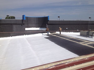 Roof Coating1