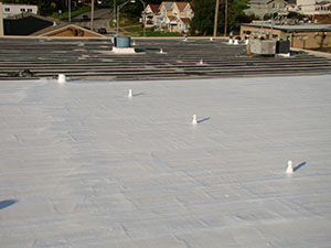 Roof Coating2