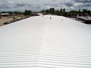 Roof Coating1