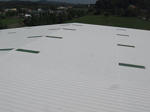 Seam Metal Roofing