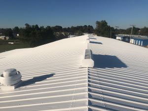 Metal Roof Services
