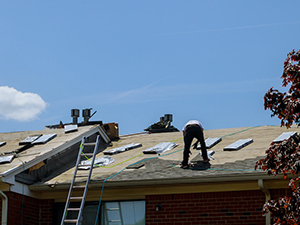 Shingle Roof Replacement